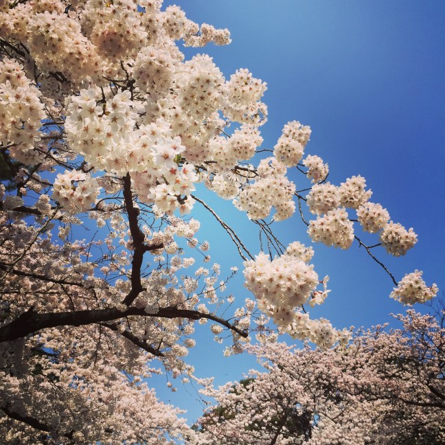 2015-03-30 10.20.22-1